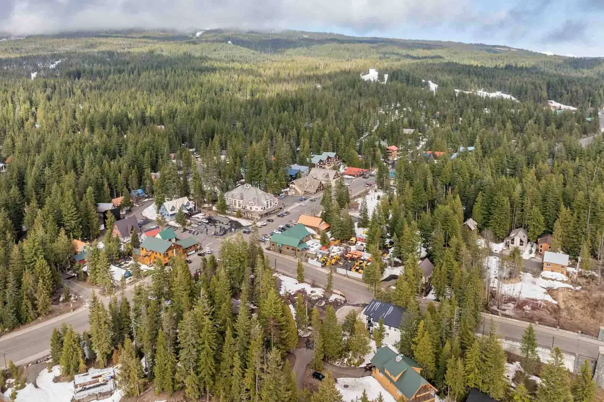 A tranquil view of the area with dense tree coverage, varied building architecture, and winding roadways. The image conveys a sense of exploration and connection between nature, community, and village amenities.