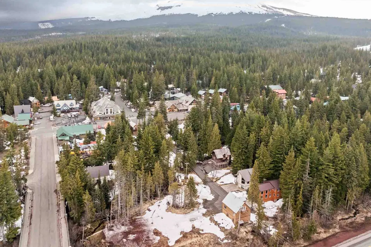 A sweeping view of tree-covered hills, a small town, snow patches, and a road leading into the town. This image captures the welcoming, walkable neighborhood atmosphere and highlights the ease of accessing both nature and local amenities on foot with a pet.