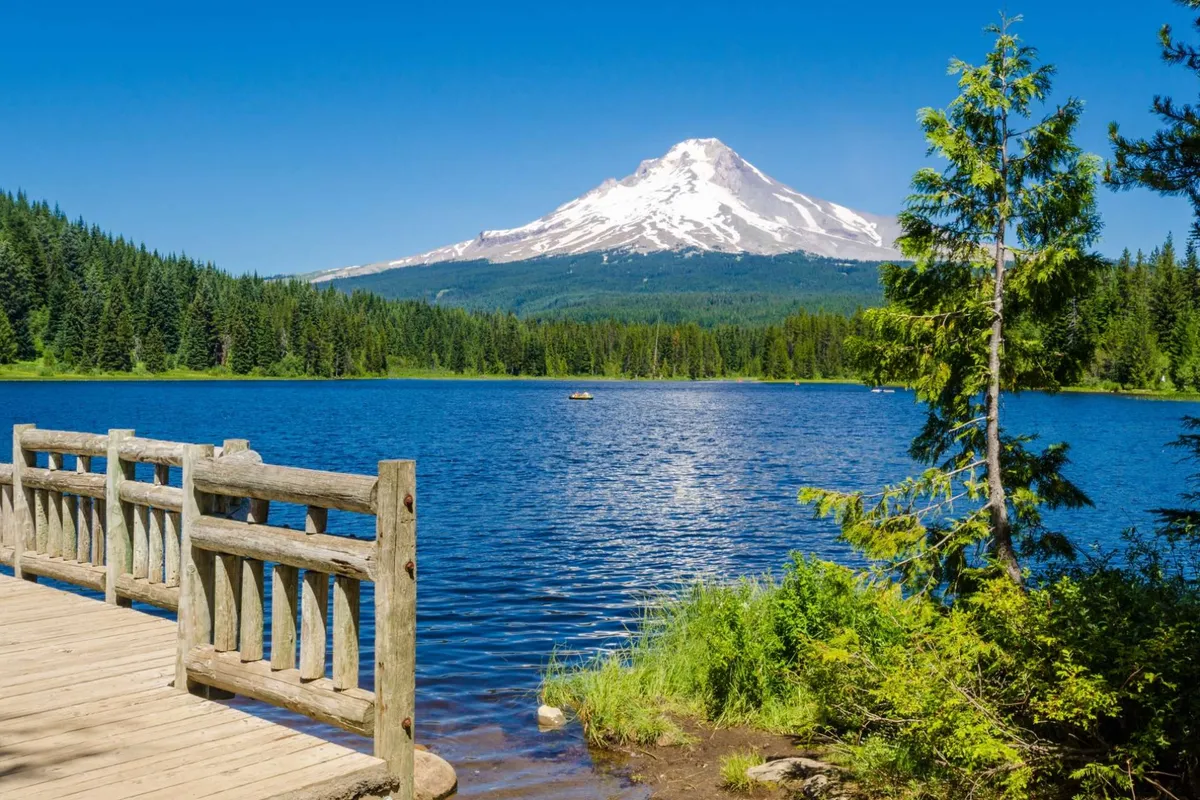 A tranquil scene featuring a wooden walkway leading toward a lake, surrounded by trees with a striking view of a mountain in the distance. The natural environment is serene and undisturbed, evoking feelings of peace and safety in the Mt. Hood area.